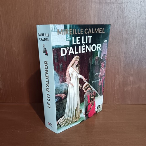 Livre fiction lit - livre,