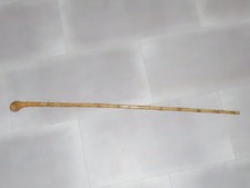 Canne En Bambou Ancienne