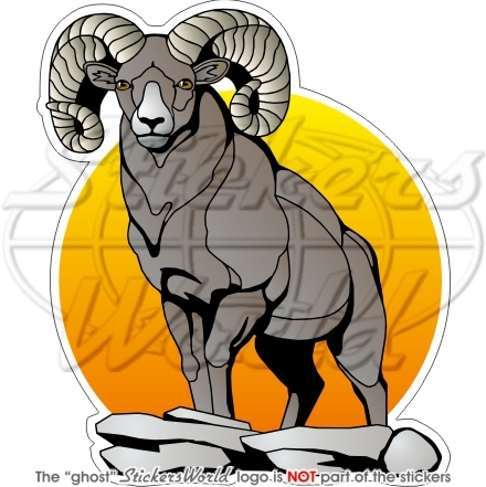 Bighorn mouton aries faune ram - mouton,