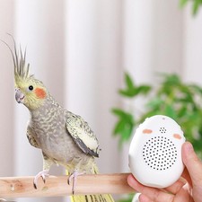 Jouet compact pour perroquet