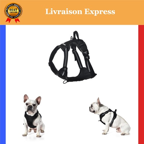 Harnais pour chien amazon - harnais,