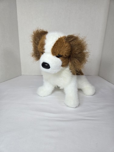 Kingsley king charles - 9",