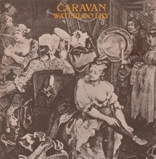 Caravan Waterloo Lily Pochette