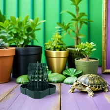 Gamelle pour caméléon pour