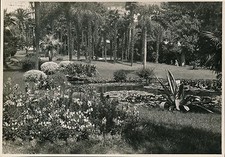 MONTE CARLO c. 1930 - Garden