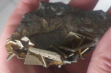 》》Top Baryte marron d'Allemagne《《