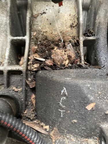 Moteur citroen xu5m - moteur, xu5m_bdz
