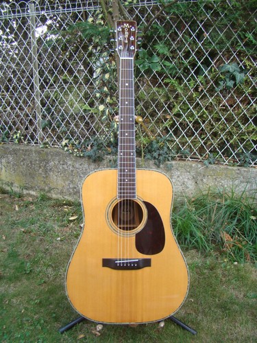 Guitare acoustique morris w613 - guitare,