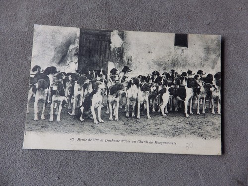 Cpa chasse courre - cpa,