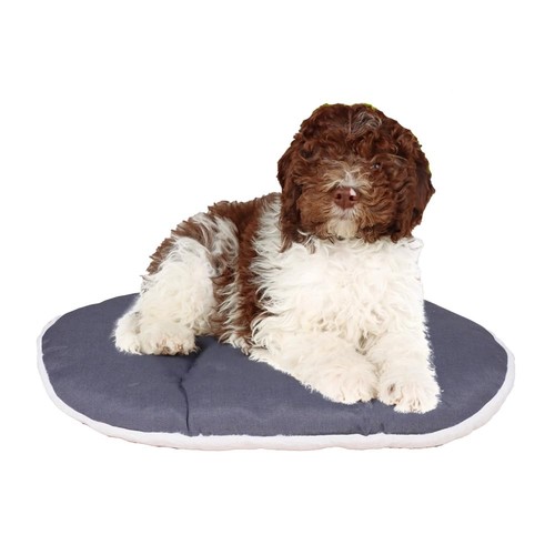 Panier chien coussin pour - panier,
