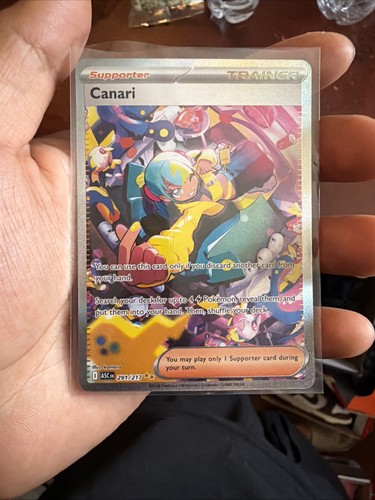 Canari 291 217 pokemon - canari,