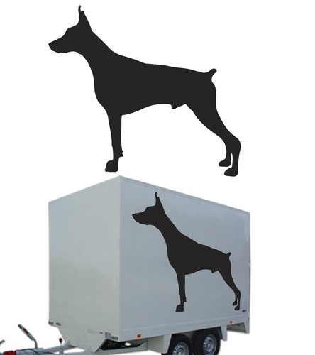 Doberman autocollant en - doberman,,