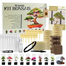Kit Prêt à Pousser 10 Bonsai