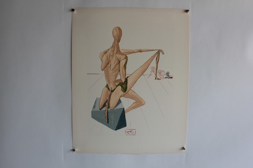 Salvador dali lithographie - dali, la