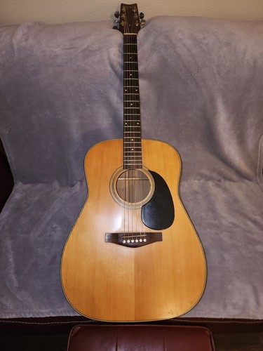 Bluridge guitar - bluridge,