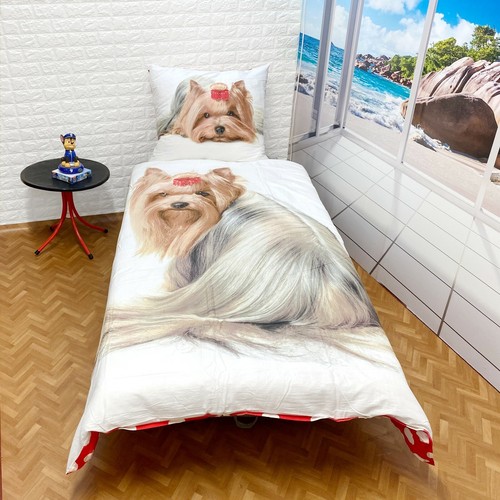 Yorkshire chien chiot - yorkshire, draps