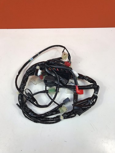 Faisceau électrique pour