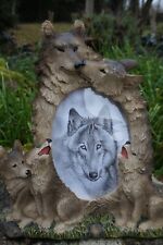 MO0257 SUPERBE   CADRE LOUP