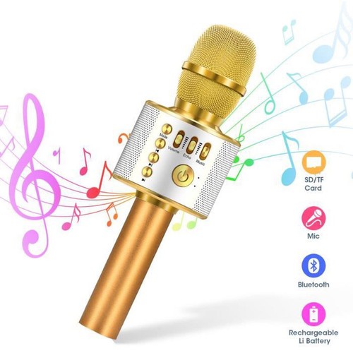 Microphone sans fil karaoké - sans,