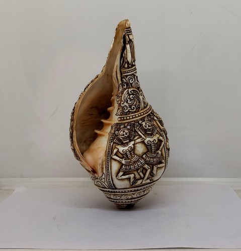 Trompette coquillage - trompette, en