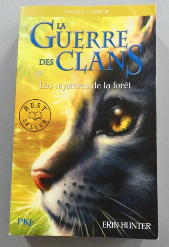 Roman guerre des clans - guerre,