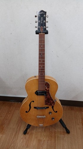 Guitare électrique godin 5th - guitare,