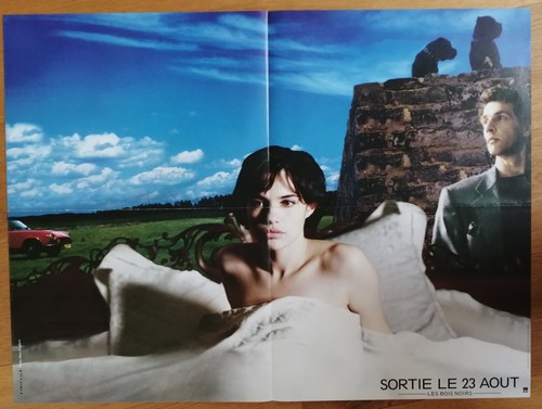 Les bois noirs beatrice dalle - bois,