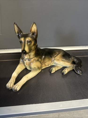 Chien berger allemand en - (ba4),