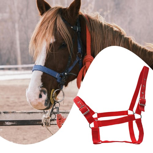 Licol pour chevaux idéal - pour, chevaux,