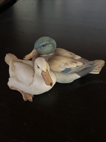 Porcelain ducks duck group - duck,