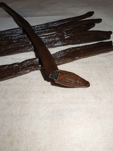 Gousses vanille bourbon - de,