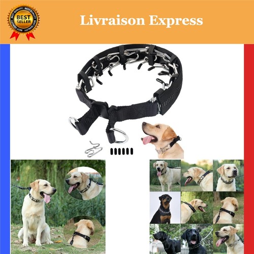 Collier dressage griffes - de, à
