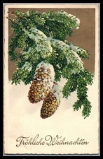 Carte postale, carte de vœux