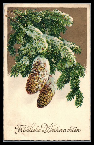 Carte postale vœux - carte, de
