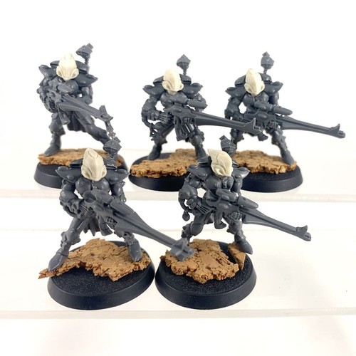 Dire avengers conversion - x5,