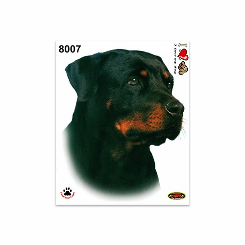 Autocollants rottweiler x - rottweiler, 14