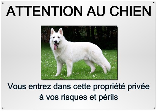 Plaque chien berger - plaque,