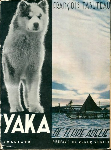 Yaka terre adélie - yaka,