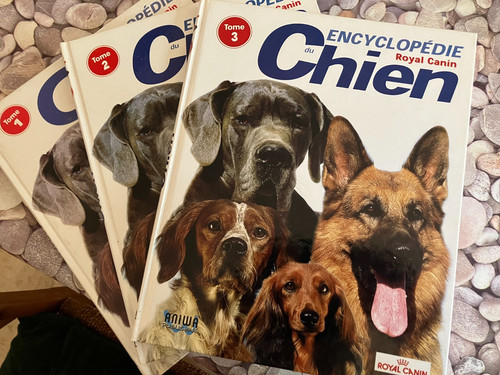 Encyclopédie chien royal - encyclopédie, du
