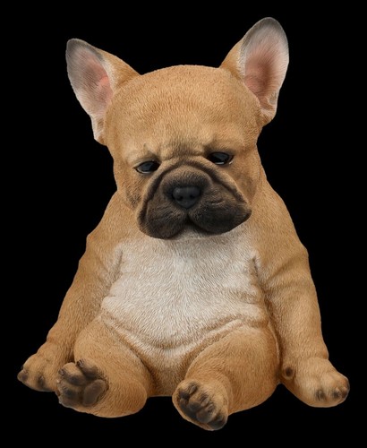 Bouledogue français figurine - français,