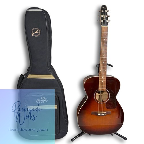 Guitare électrique acoustique