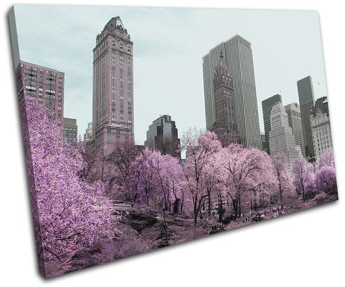 Central park new york vintage - new,