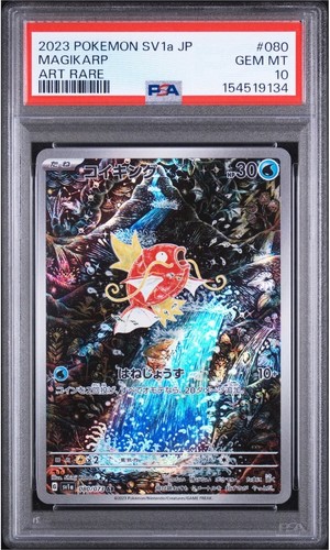 Pokemon japonais magikarp - pokemon, ar
