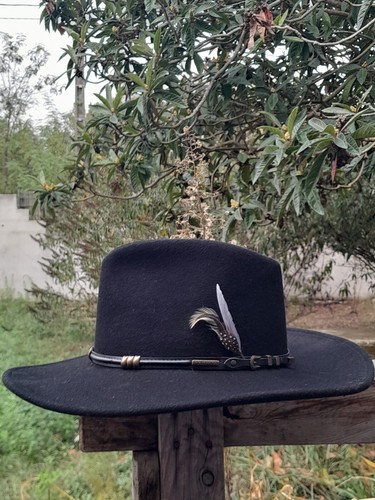Chapeau buffalo vitafelt - chapeau,