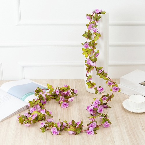 Vigne pivoine rose