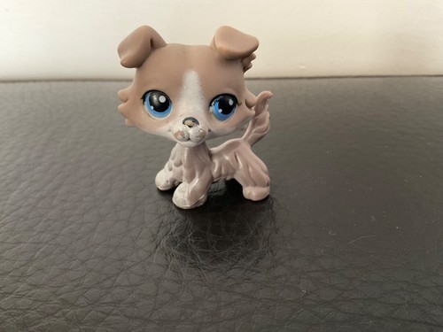 Littlest petshop chien - petshop,