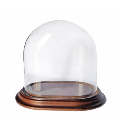 Cloche verre ovale - cloche,