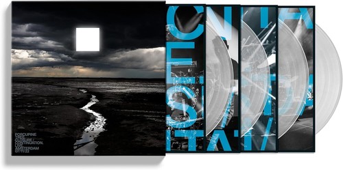 Porcupine tree - porcupine,