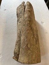 Bois de buis tournage