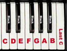 Roland Fantom Xa Synthesizer Style 02U Replacement Key & Return Springs